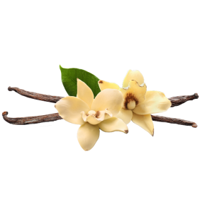 vanilla