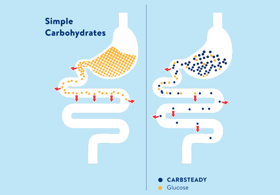 Working of CARBSTEADY